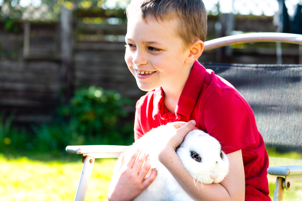 A rabbit held by a child with ASD