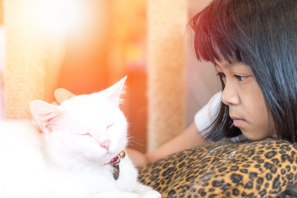 Child with autism petting a white cat