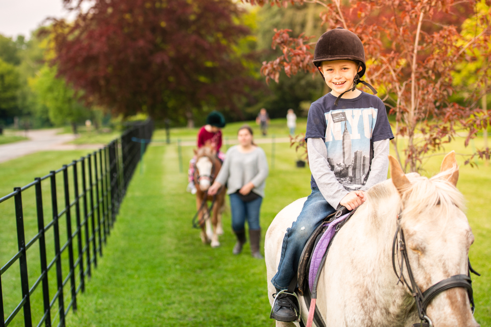 Children with autism during equine therapy