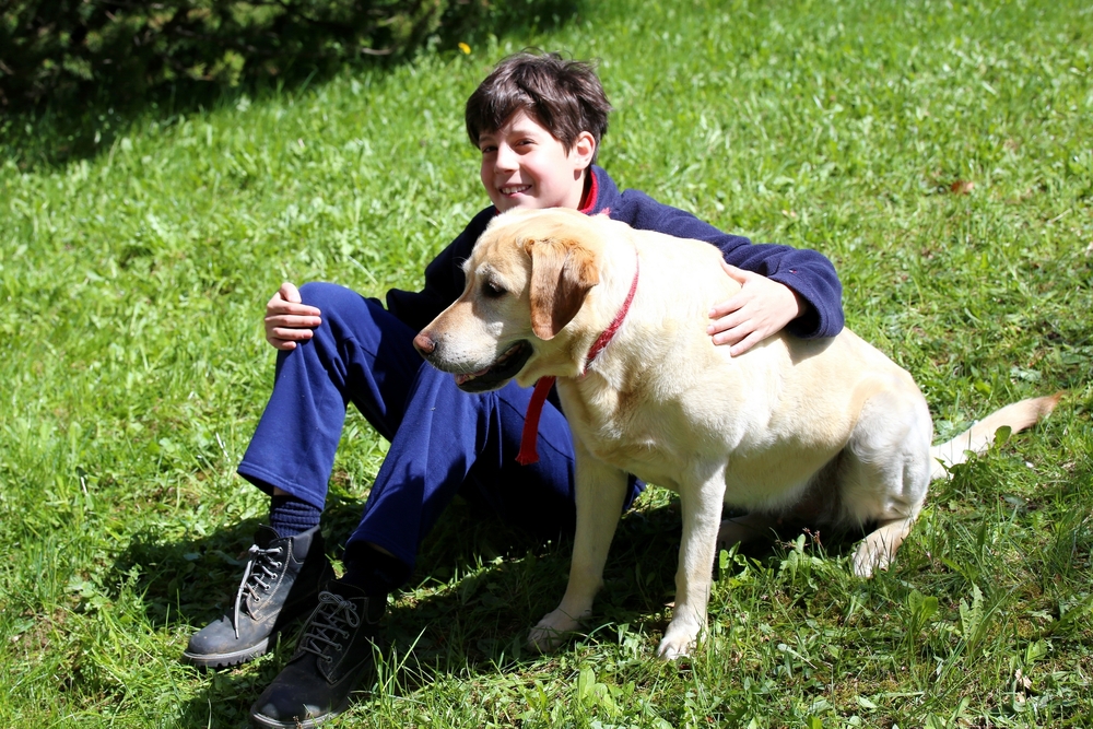 Labrador Retriever and boy with autism