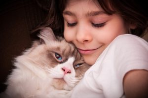 Siberian cat and child with ASD